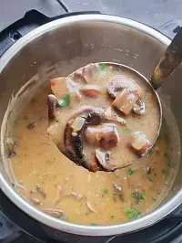 instant pot mushroom soup dairy free in a ladle