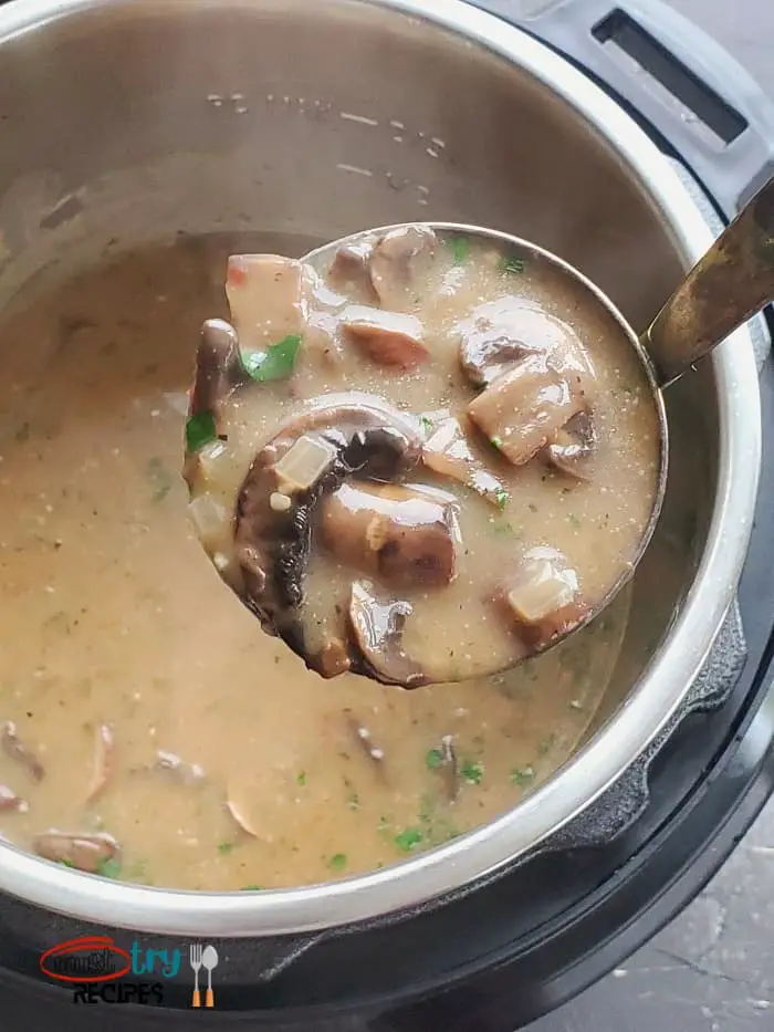 best vegan mushroom soup instant pot recipe in a soup ladle
