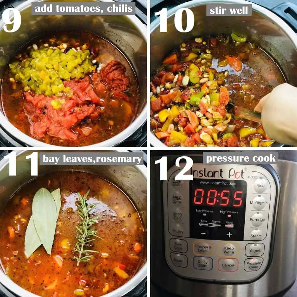 pressure cooking vegetarian 15 bean soup