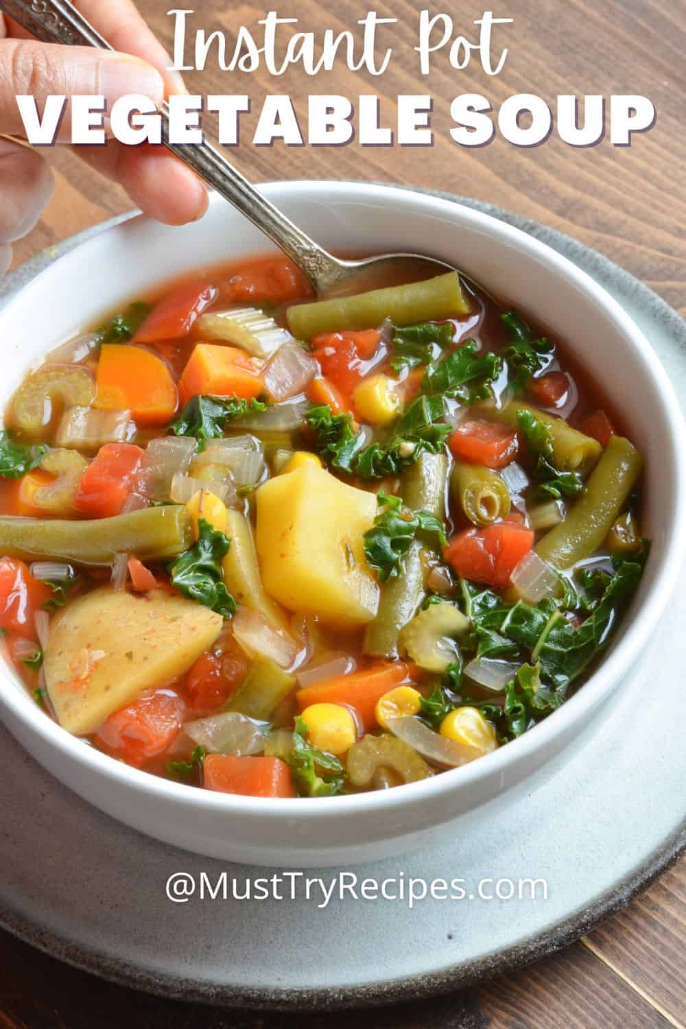 Instant Pot Vegetable Soup with Potatoes - Must Try Recipes