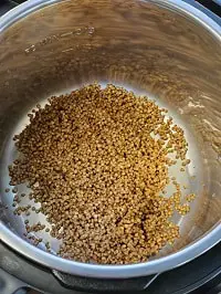 rinsed buckwheat groats in instant pot