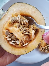 scooping out acorn squash seeds with a spoon