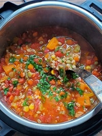 garnished soup with parsley in instant pot with a ladle